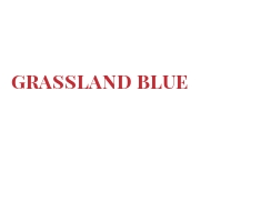 Cheeses of the world - Grassland Blue